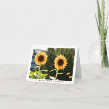 Gelbe Sonnenblumen Personalisierte Note Card