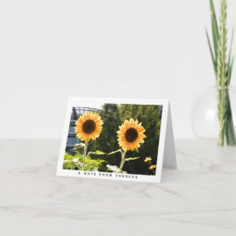 Gelbe Sonnenblumen Personalisierte Note Card