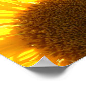 Gelbe Sonnenblumen Poster (Ecke)
