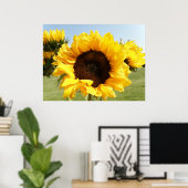 Gelbe Sonnenblumen Poster (Heimbüro)
