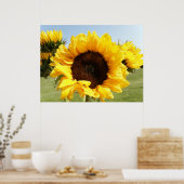 Gelbe Sonnenblumen Poster (Küche)