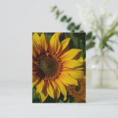 Gelbe Sonnenblumen Postkarte (Stehend Vorderseite)