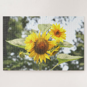 Gelbe Sonnenblumen Puzzle