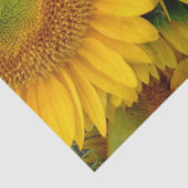 Gelbe Sonnenblumen Sommergewebe Seidenpapier (Detail)