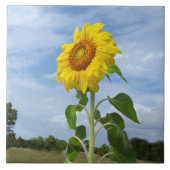 Gelbe Sonnenblumen Spiegelwolken und Tile Fliese (Vorderseite)