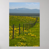 Gelbe Sonnenblumen und Berge Poster (Vorne)