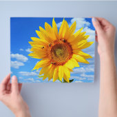 Gelbe Sonnenblumen und Bienen auf blauem Himmel -  Flyer (Hand)