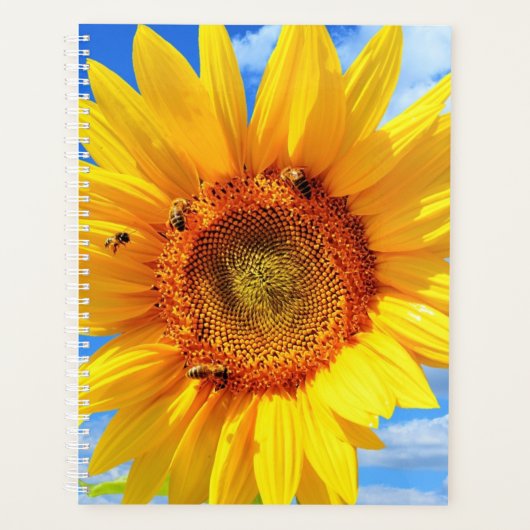 Gelbe Sonnenblumen und Bienen auf blauem Himmel -  Planer (Vorderseite)