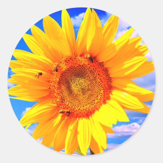 Gelbe Sonnenblumen und Bienen auf Blue Sky Sticker (Vorderseite)