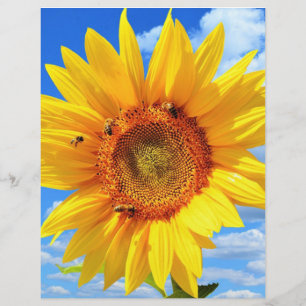 Gelbe Sonnenblumen und Bienen Sommerbriefe Briefbogen