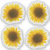 Gelbe Sonnenblumenaufnahme 4x Set Aufkleber (Vorderseite)