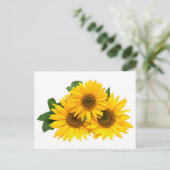 Gelbe Sonnenblumenblume, Blankokarte Postkarte (Stehend Vorderseite)