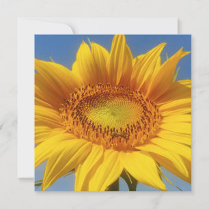 Gelbe Sonnenblumenkarte Einladung
