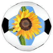 Gelbe Sonnenblumenkugel Fußball (Gedreht)