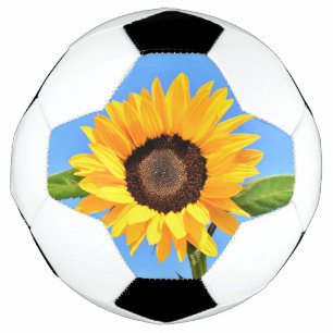 Gelbe Sonnenblumenkugel Fußball