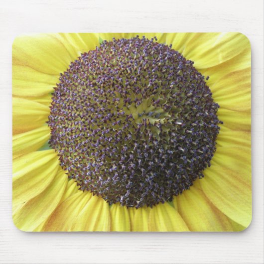 Gelbe Sonnenblumenmousepad Mousepad (Vorne)