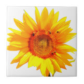 Gelbe Sonnenblumenzange Fliese (Vorderseite)