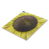 Gelbe Sonnenblumenzange Fliese (Seite)