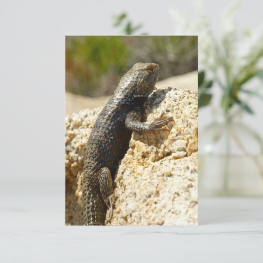 Gelbe Spiny Lizard bei Joshua Tree (Stehend Vorderseite)