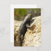 Gelbe Spiny Lizard bei Joshua Tree (Vorne/Hinten)
