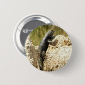 Gelbe Spiny Lizard bei Joshua Tree Button (Vorne & Hinten)