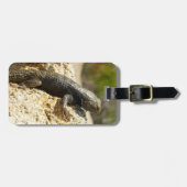 Gelbe Spiny Lizard bei Joshua Tree Gepäckanhänger (Vorderseite horizontal)