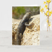 Gelbe Spiny Lizard bei Joshua Tree Karte (Gelbe Blume)