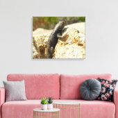 Gelbe Spiny Lizard bei Joshua Tree Leinwanddruck (Insitu (Wohnzimmer))