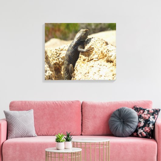 Gelbe Spiny Lizard bei Joshua Tree Leinwanddruck (Insitu (Wohnzimmer))