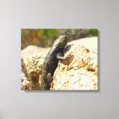 Gelbe Spiny Lizard bei Joshua Tree Leinwanddruck (Vorderseite)