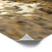 Gelbe Spiny Lizard bei Joshua Tree Poster (Ecke)