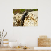 Gelbe Spiny Lizard bei Joshua Tree Poster (Küche)
