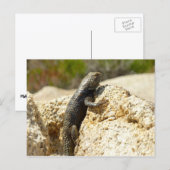 Gelbe Spiny Lizard bei Joshua Tree Postkarte (Vorne/Hinten)