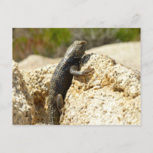 Gelbe Spiny Lizard bei Joshua Tree Postkarte