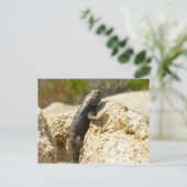 Gelbe Spiny Lizard bei Joshua Tree Postkarte (Stehend Vorderseite)
