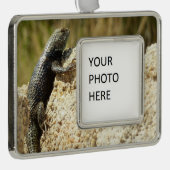 Gelbe Spiny Lizard bei Joshua Tree Rahmen-Ornament Silber (Rechts)