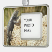 Gelbe Spiny Lizard bei Joshua Tree Rahmen-Ornament Silber (Links)