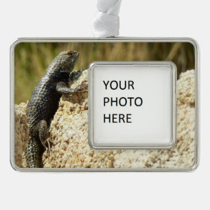 Gelbe Spiny Lizard bei Joshua Tree Rahmen-Ornament Silber