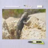 Gelbe Spiny Lizard bei Joshua Tree Seidenpapier (Handwerk)