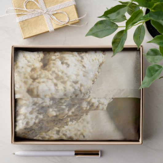 Gelbe Spiny Lizard bei Joshua Tree Seidenpapier (Geschenk)