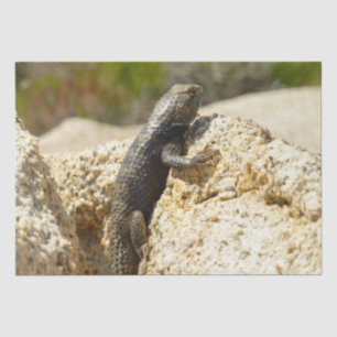 Gelbe Spiny Lizard bei Joshua Tree Seidenpapier