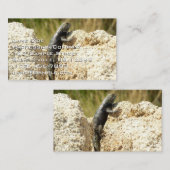 Gelbe Spiny Lizard bei Joshua Tree Visitenkarte (Vorne/Hinten)