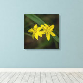 Gelbe Sterngras-Wildblume Leinwanddruck (Insitu (Holzboden))