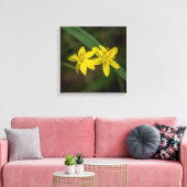 Gelbe Sterngras-Wildblume Leinwanddruck (Insitu (Wohnzimmer))