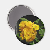 Gelbe Stiefmütterchen Magnet (Vorderseite/Rückseite)