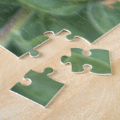 Gelbe Strand-Abendprimel, Oakland Puzzle (Seite)