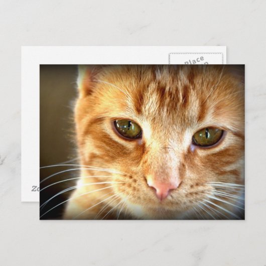 Gelbe Tablette Postkarte (Vorne/Hinten)