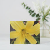 Gelbe Tageslilie # 2 Postkarte (Stehend Vorderseite)