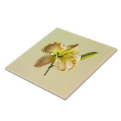 Gelbe Tageslilie Fliese (Seite)