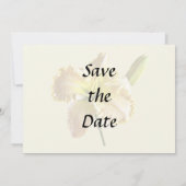 Gelbe Tageslilie Hochzeitmaterial Save The Date (Rückseite)